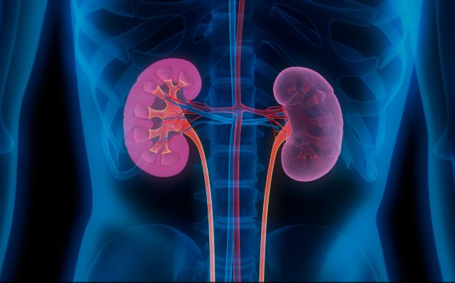Acute Kidney Disease