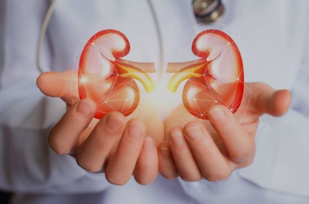 Pediatric Nephrotic Syndromes