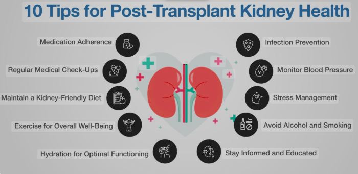 Post Kidney Transplant Complications